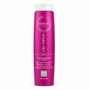 Alterego Color Maintain Silver Shampoo 1000ml